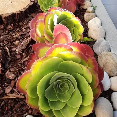 Casa Do Castelo Apartamento Gafanha da Nazaré