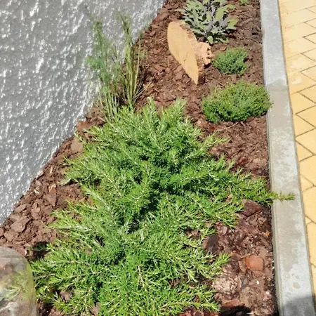 Casa Do Castelo * Gafanha da Nazaré